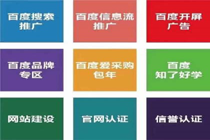 SEM推广实战：成功案例解读与策略调整